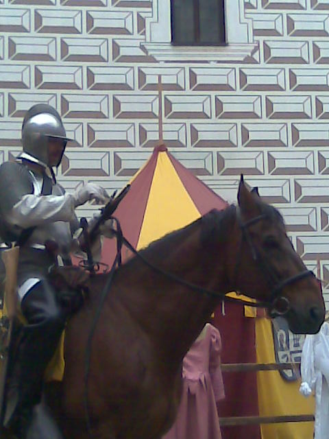 Obraz043.jpg